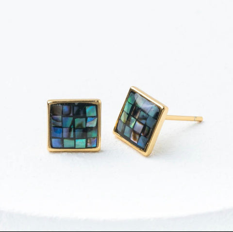 Delighted Abalone Stud Earrings